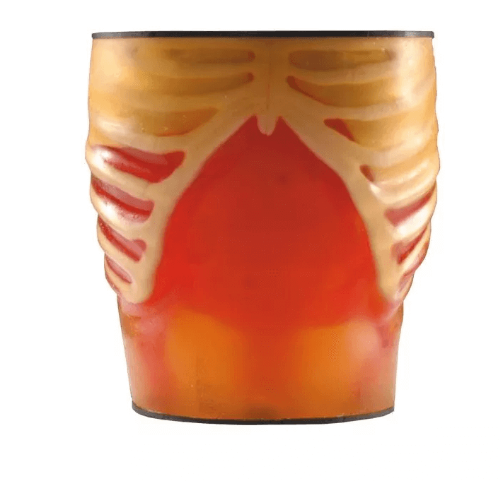 Ultraschall - Übungsmodell Anatomie / Pathologie - Erler - Zimmer